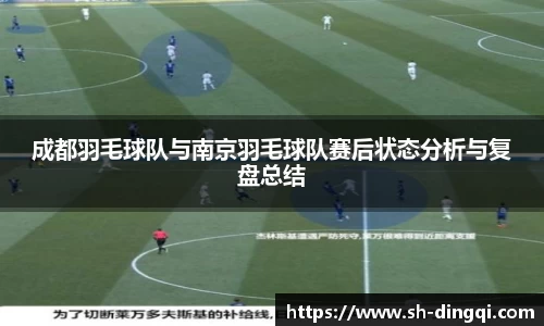 成都羽毛球队与南京羽毛球队赛后状态分析与复盘总结
