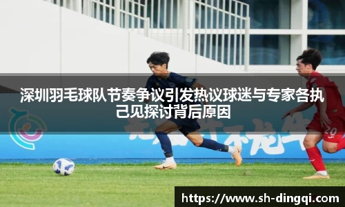 深圳羽毛球队节奏争议引发热议球迷与专家各执己见探讨背后原因