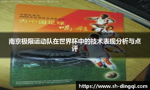 南京极限运动队在世界杯中的技术表现分析与点评