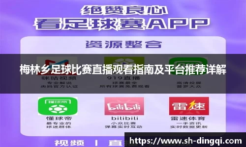 梅林乡足球比赛直播观看指南及平台推荐详解